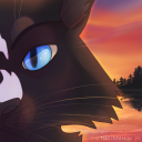 twilights-800-cats avatar