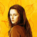 twilightsaganetwork avatar