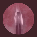 twinflamegirl avatar