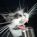 twinkinsheepsclothing avatar