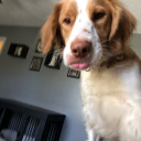 twinklelightsupremacy avatar