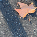 twinklethoughts avatar