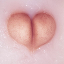 twisted-but-not-broken avatar