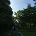 twisted-melancholy avatar