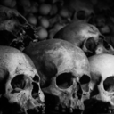 twisted-mxtal avatar