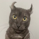 twistedbeanbagchair avatar