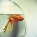 twisteddepictions avatar