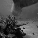 twistedhexsisters avatar