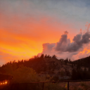 twistedincuntation avatar