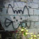 twistedtrnsistor avatar