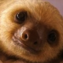 twistedverve-blog avatar