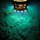 twistingwhumps avatar