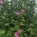 two-am-outlines-only avatar