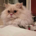 two-faces-of-the-moon avatar