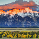 two-locked-boxes avatar