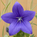 two-quarters-make-a-half avatar