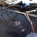 two-slow-dancerrs avatar