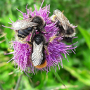 two-souls-world avatar