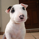 two-steps-from-nowhere avatar