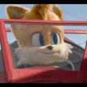 two-tailed-fox avatar