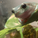 twobabydumpies avatar