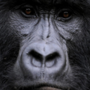 twobitmanchild avatar