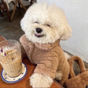 twobrokenjars avatar