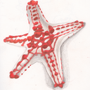 twocupsofsugar-main avatar