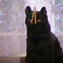 twodancingzombies avatar