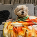 twofoldpotato avatar