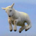 twogiantcupcakes avatar