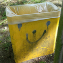 twogoatsandawindow avatar