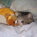 twogoodthings avatar