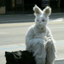 twoheadedbride avatar