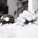 twokookmonkeys avatar