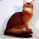 twooneztaylorthecat avatar