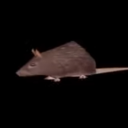 tworattuesday avatar