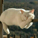 tworoundsoftpeaches avatar