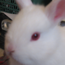 twosistersawesome-blog avatar