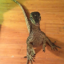 twothreezerosixoh avatar