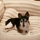 twouniquefouryou avatar