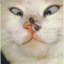 twrom-archived avatar