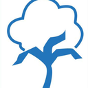 txbrazostrail avatar