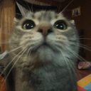 tygermountain avatar