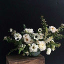 tyler-oykley-blog avatar