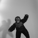 tyler-william-blog avatar