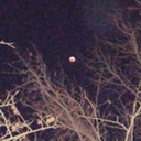 tylerisawitch avatar