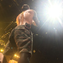 tylers-pet-cheetah-blog avatar