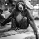 tylerschluter avatar