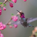 types-of-people-reblogs avatar